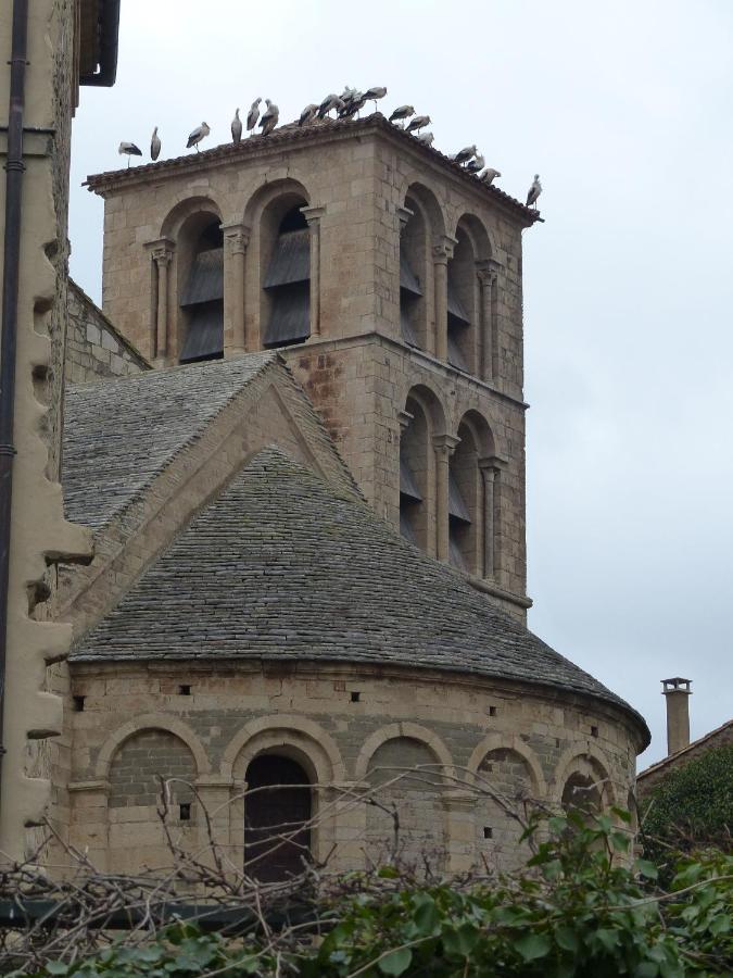 L'incarnat *